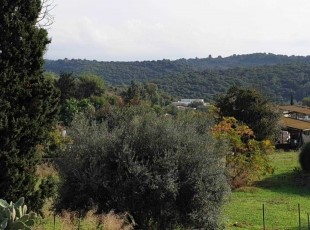 נחלה קסומה למכירה בכרם מהר"ל- לא אקטואלי