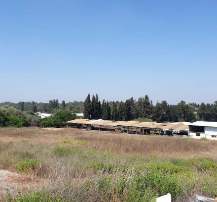 נחלה למכירה במושב בני ציון