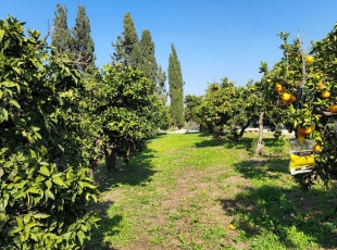 למכירה משק עזר מול נוף פתוח בבני ציון