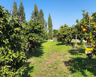 למכירה משק עזר מול נוף פתוח בבני ציון