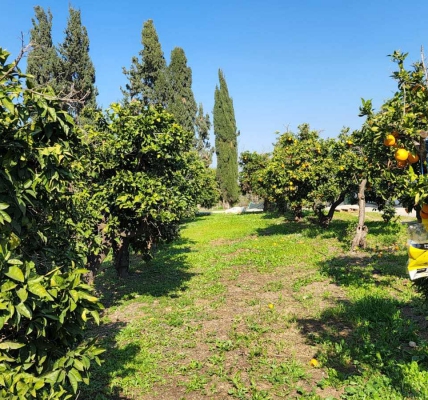 למכירה משק עזר מול נוף פתוח בבני ציון