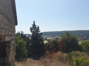 נחלה למכירה במושב כרם מהר"ל- לא אקטואלי