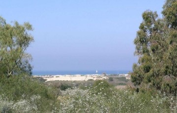 Beachfront Villa For Sale – Hofit