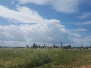 וילה למכירה צמוד לרמות השבים- לא אקטואלי