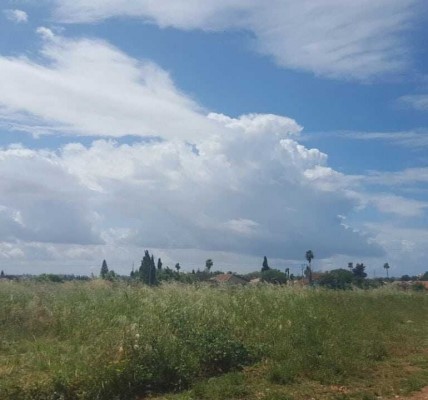 וילה למכירה צמוד לרמות השבים- לא אקטואלי