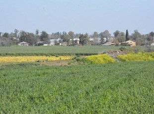 משק למכירה בעמק חפר