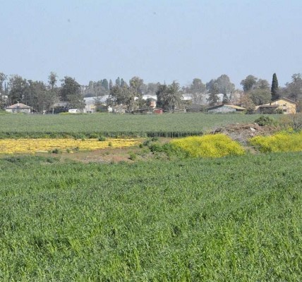 משק למכירה בעמק חפר