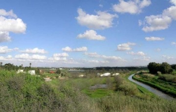 Unique Farm For Sale in Israel – Udim