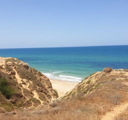 להשכרה בארסוף דופלקס יוקרתי קו ראשון לים