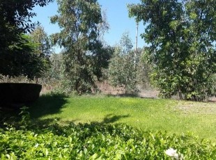 בית מקסים טובל בירוק בבני ציון- לא אקטואלי