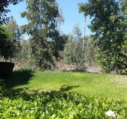 בית מקסים טובל בירוק בבני ציון- לא אקטואלי