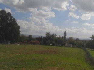 4 דונם עם נוף מהמם לבניית בית בהוד השרון- לא אקטואלי