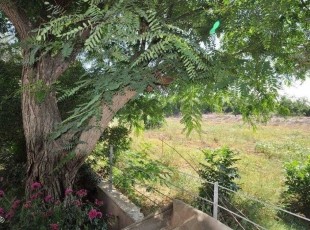 וילה מקסימה צמודה לשדות למכירה בבצרה-לא אקטואלי