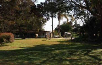 Unique Farm For Sale in Israel – Rishpon