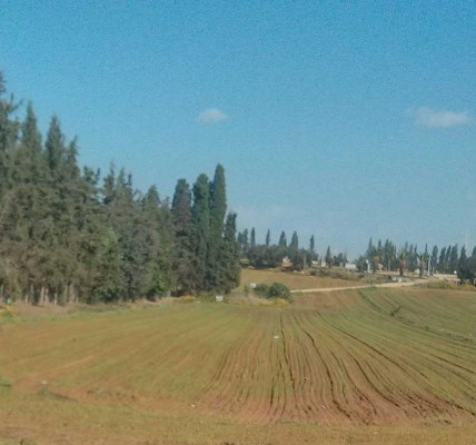 משק למכירה בעמק חפר