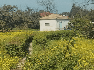 משק  עזר למכירה בכפר ויתקין- לא רלוונטי