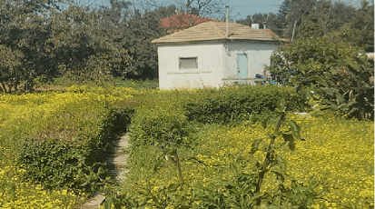משק  עזר למכירה בכפר ויתקין- לא רלוונטי