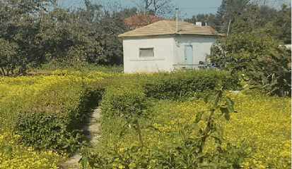 משק  עזר למכירה בכפר ויתקין- לא רלוונטי