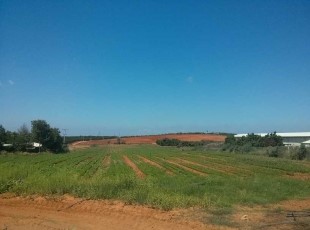 משק למכירה במשמרת – בלב השרון