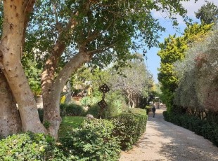 נחלה מדהימה למכירה בבני ציון – נמכר
