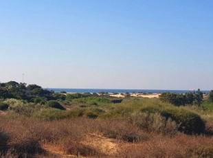 בית למכירה בחופית עם נוף לשמורה ולים- לא אקטואלי