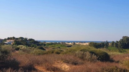 בית למכירה בחופית עם נוף לשמורה ולים- לא אקטואלי